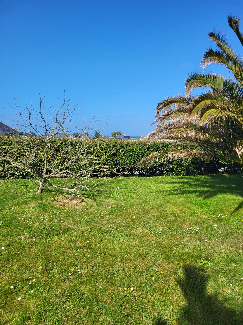 A VENDRE PLOUDALMEZEAU, MAISON T6 à 500m de la plage !